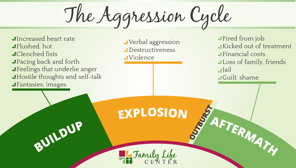 The Aggression Cycle - leading from buildup to explosion to the aftermath of the outburst